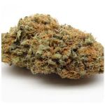 Шишки AK47 (Гидропоника, Бошка) VHQ в Курске Шишки AK47 (Гидропоника, Бошка) VHQ в Курске